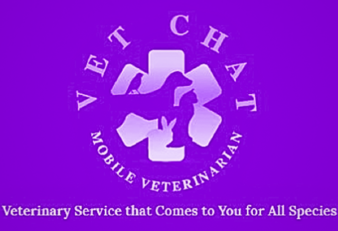 Vet Chat